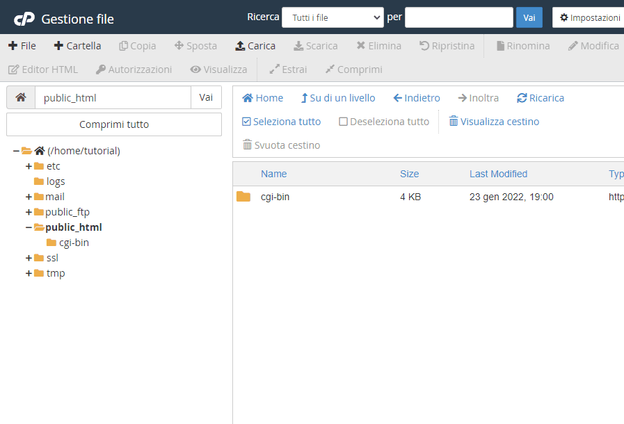 Gestione file di cPanel: a sinistra l’albero delle cartelle, a destra il contenuto di public_html con la sola cartella cgi-bin