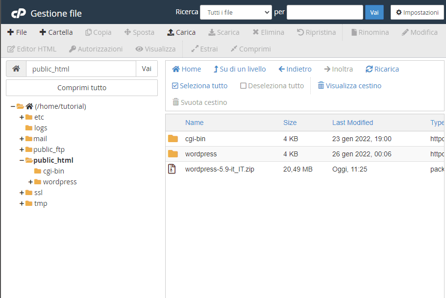 Gestione file di cPanel dopo l’estrazione: dentro public_html compaiono la cartella wordpress e l’archivio zip