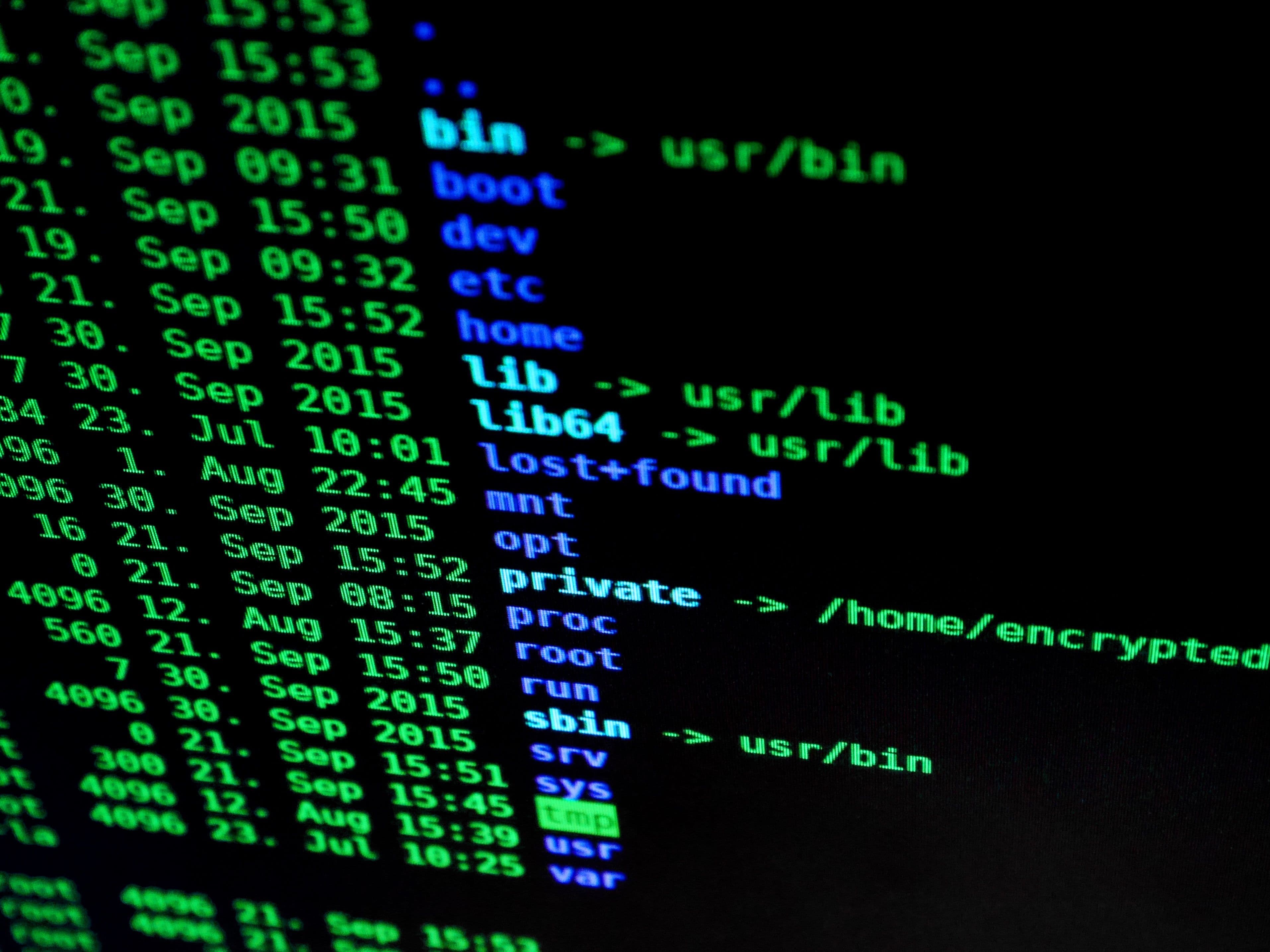 Terminale Linux con l’elenco delle cartelle della radice del filesystem